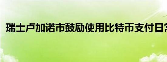 瑞士卢加诺市鼓励使用比特币支付日常开销