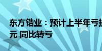 东方锆业：预计上半年亏损5800万-8500万元 同比转亏