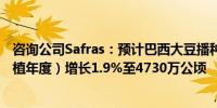 咨询公司Safras：预计巴西大豆播种面积将在2024-25（种植年度）增长1.9%至4730万公顷