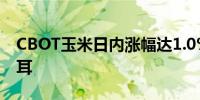 CBOT玉米日内涨幅达1.0%报415美分/蒲式耳