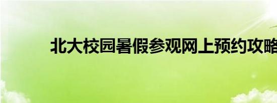 北大校园暑假参观网上预约攻略