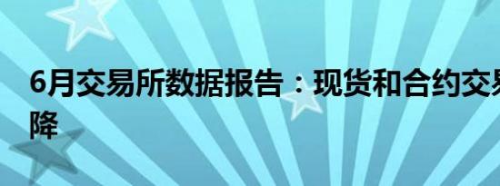 6月交易所数据报告：现货和合约交易量均下降