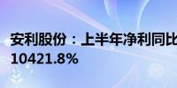 安利股份：上半年净利同比预增9348.14%—10421.8%