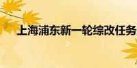 上海浦东新一轮综改任务落地已近50%