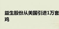 益生股份从美国引进1万套利丰祖代白羽肉种鸡