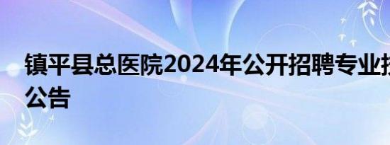 镇平县总医院2024年公开招聘专业技术人员公告