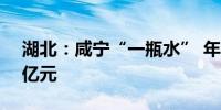 湖北：咸宁“一瓶水” 年产值有望突破500亿元