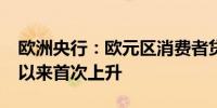 欧洲央行：欧元区消费者贷款需求自2022年以来首次上升