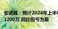 安诺其：预计2024年上半年净利润1000万至1200万 同比扭亏为盈