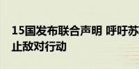 15国发布联合声明 呼吁苏丹武装冲突各方停止敌对行动