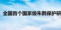 全国首个国家级朱鹮保护研究中心落地陕西