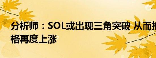 分析师：SOL或出现三角突破 从而推动其价格再度上涨