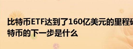 比特币ETF达到了160亿美元的里程碑——比特币的下一步是什么