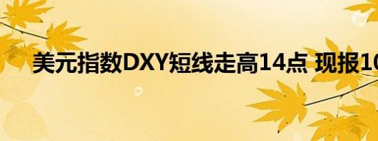 美元指数DXY短线走高14点 现报104.3