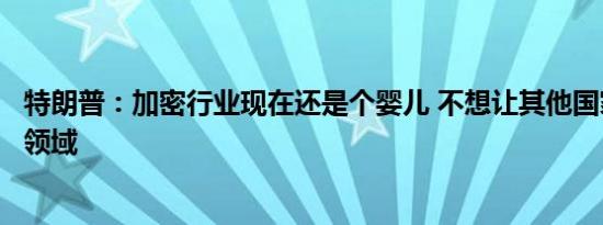 特朗普：加密行业现在还是个婴儿 不想让其他国家接管这个领域