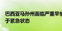 巴西亚马孙州面临严重旱情 已有20个城市处于紧急状态