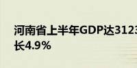 河南省上半年GDP达31231.44亿元 同比增长4.9%