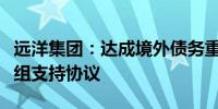 远洋集团：达成境外债务重组重大进展订立重组支持协议