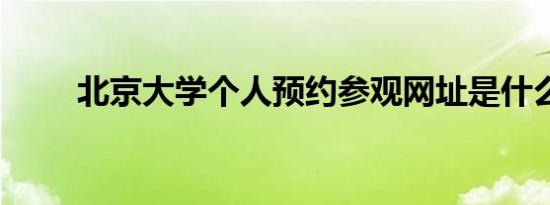 北京大学个人预约参观网址是什么?