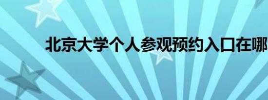 北京大学个人参观预约入口在哪?