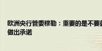 欧洲央行管委穆勒：重要的是不要就9月货币政策会议预先做出承诺