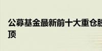 公募基金最新前十大重仓股出炉 “宁王” 登顶