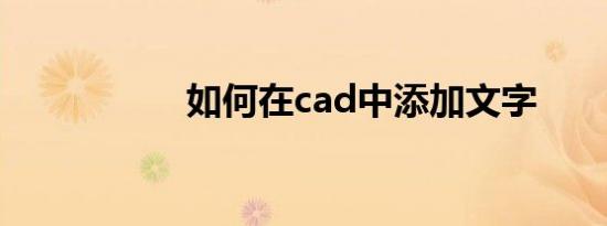 如何在cad中添加文字