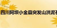 四川阿坝小金县突发山洪泥石流 2名群众失联