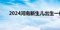 2024河南新生儿出生一件事办理事项