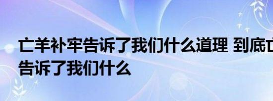 亡羊补牢告诉了我们什么道理 到底亡羊补牢告诉了我们什么