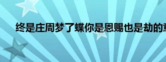 终是庄周梦了蝶你是恩赐也是劫的意思