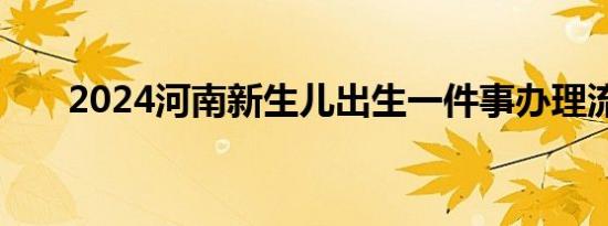 2024河南新生儿出生一件事办理流程