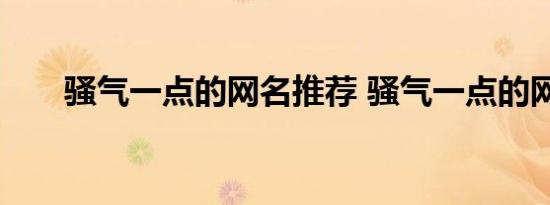 骚气一点的网名推荐 骚气一点的网名