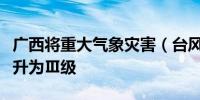 广西将重大气象灾害（台风）Ⅳ级应急响应提升为Ⅲ级