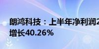 朗鸿科技：上半年净利润2496.19万元 同比增长40.26%