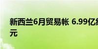 新西兰6月贸易帐 6.99亿纽元前值2.04亿纽元