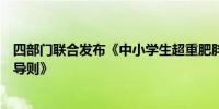 四部门联合发布《中小学生超重肥胖公共卫生综合防控技术导则》