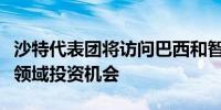 沙特代表团将访问巴西和智利探索矿产和工业领域投资机会