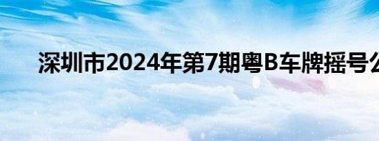 深圳市2024年第7期粤B车牌摇号公告