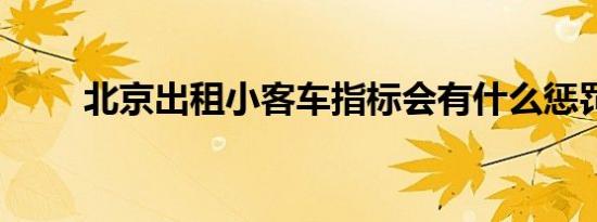 北京出租小客车指标会有什么惩罚?