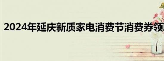 2024年延庆新质家电消费节消费券领取流程