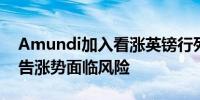 Amundi加入看涨英镑行列 尽管摩根大通警告涨势面临风险