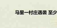 马里一村庄遇袭 至少26人死亡