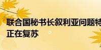 联合国秘书长叙利亚问题特使：恐怖主义威胁正在复苏