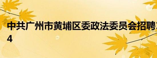 中共广州市黄埔区委政法委员会招聘11人2024