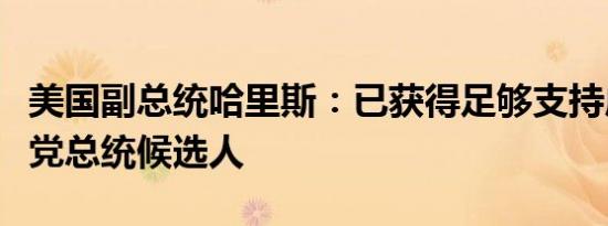 美国副总统哈里斯：已获得足够支持成为民主党总统候选人