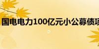 国电电力100亿元小公募债项目获上交所受理