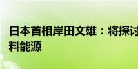 日本首相岸田文雄：将探讨采购更多非化石燃料能源