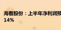 海看股份：上半年净利润预计增长1.33%-15.14%