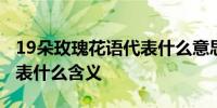 19朵玫瑰花语代表什么意思 19朵玫瑰花语代表什么含义